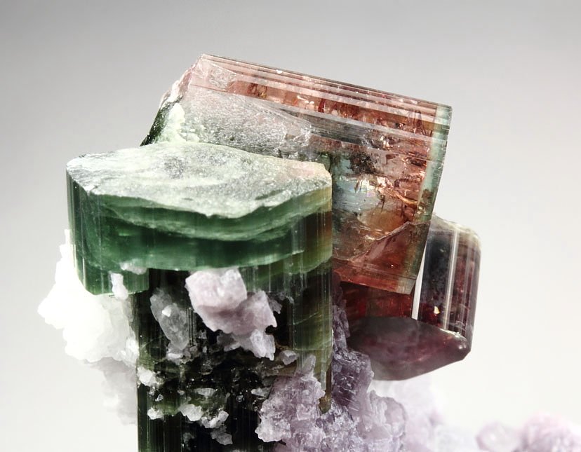 gem multicolor TOURMALINE var. ELBAITE, LEPIDOLITE, ALBITE var. CLEAVELANDITE