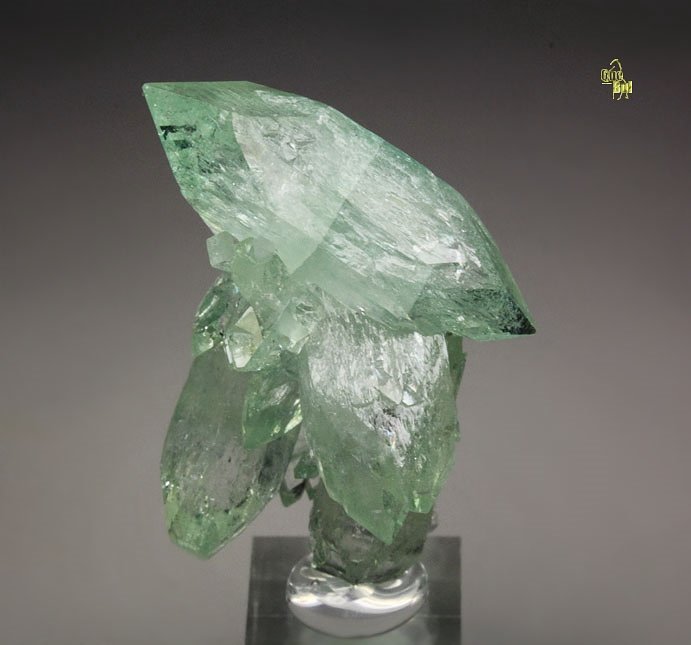 gemmy FLUORAPOPHYLLITE-(K)