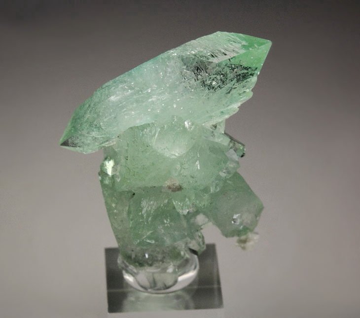 gemmy FLUORAPOPHYLLITE-(K)