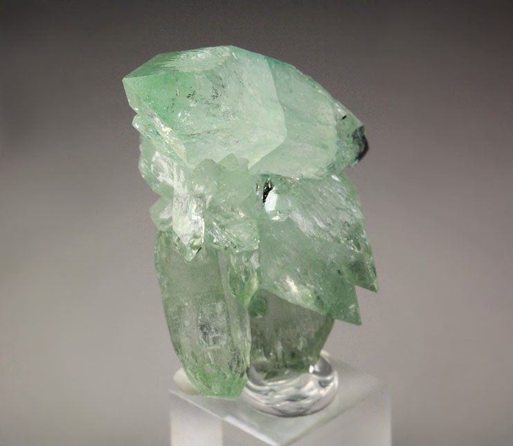 gemmy FLUORAPOPHYLLITE-(K)