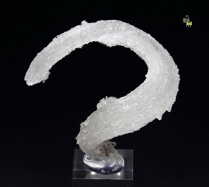 GYPSUM rams horn