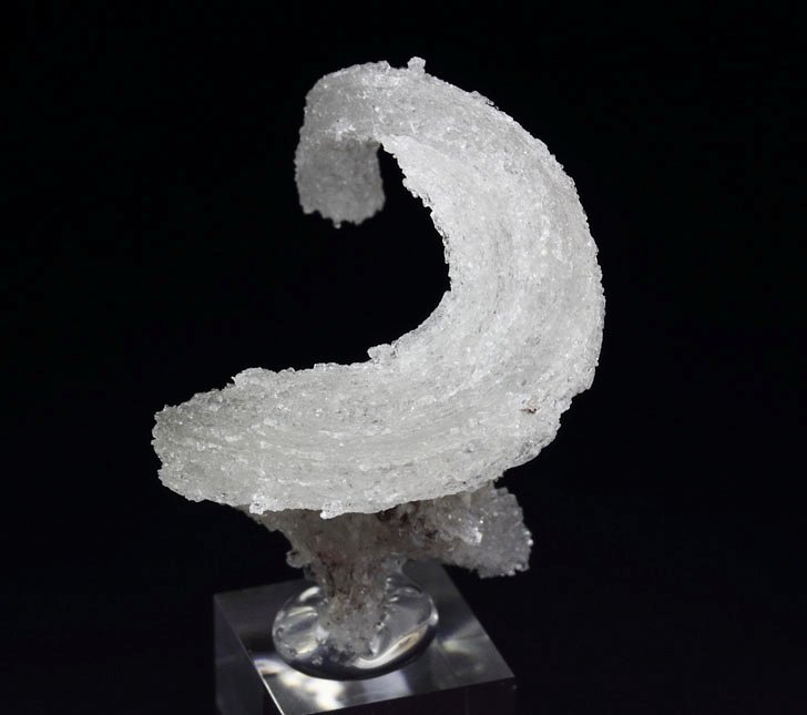 GYPSUM rams horn