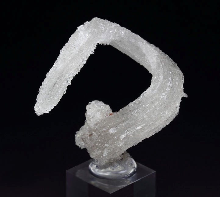 GYPSUM rams horn