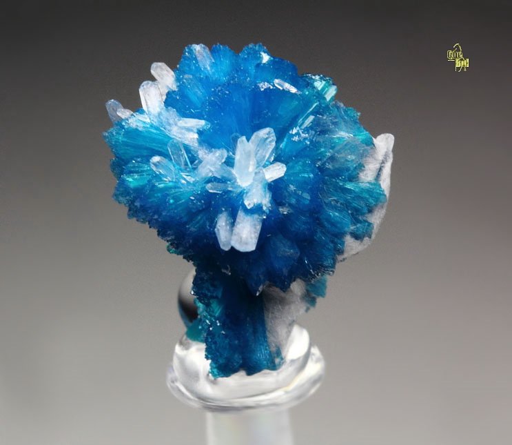 CAVANSITE, MORDENITE, STILBITE