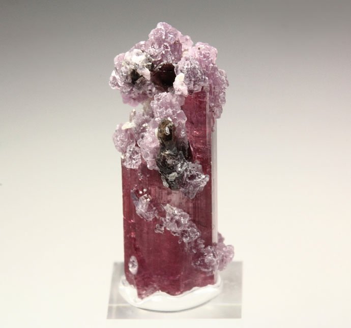 gem TOURMALINE var. ELBAITE, LEPIDOLITE, QUARTZ var. SMOKY