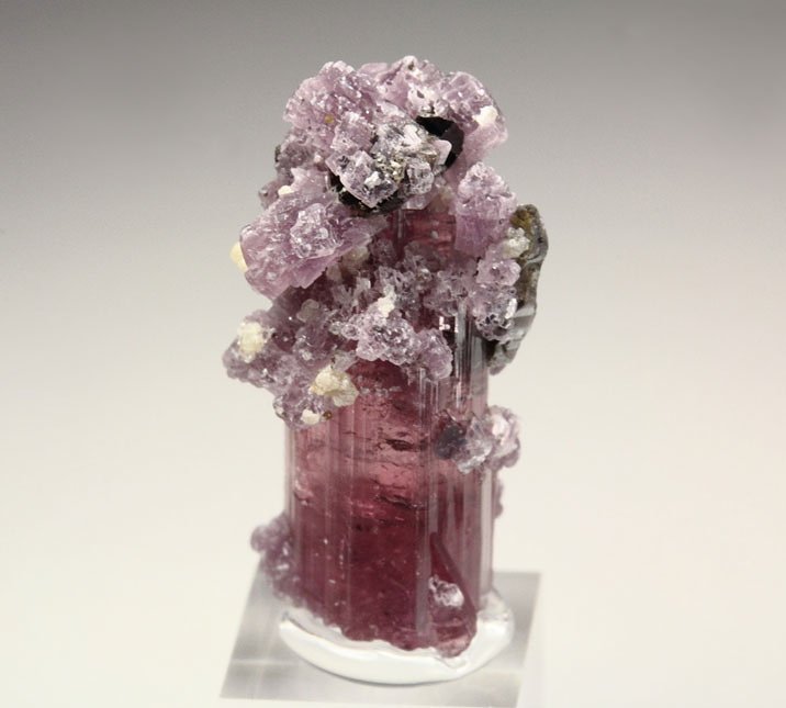 gem TOURMALINE var. ELBAITE, LEPIDOLITE, QUARTZ var. SMOKY