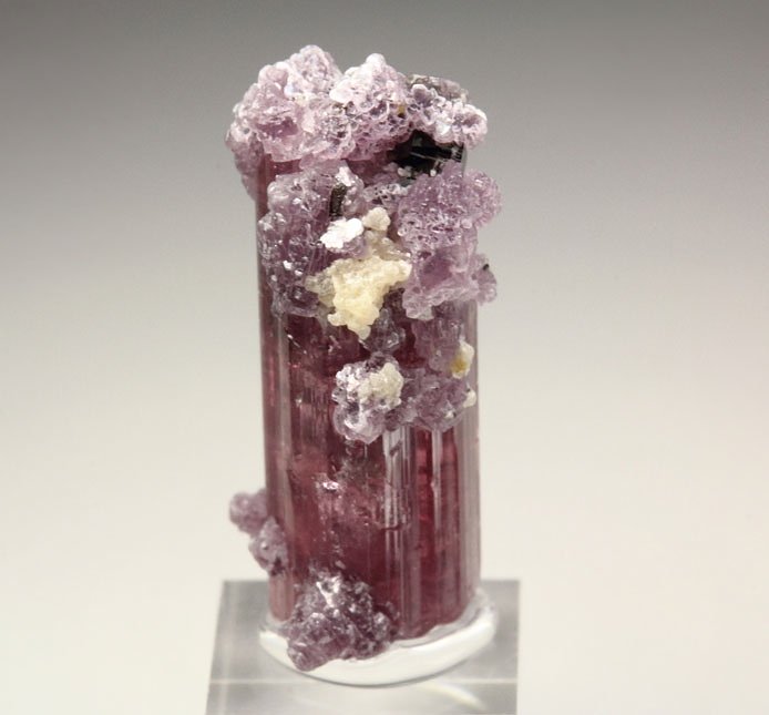 gem TOURMALINE var. ELBAITE, LEPIDOLITE, QUARTZ var. SMOKY