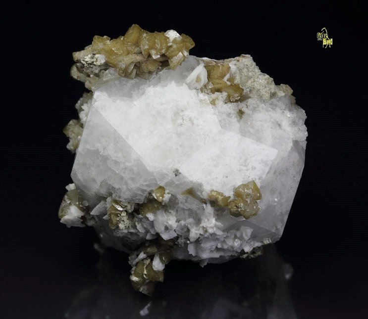 ANALCIME, SIDERITE, ALBITE