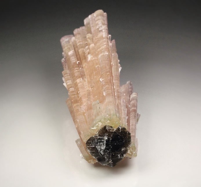 pink gem TOURMALINE var. ELBAITE bi-terminated, QUARTZ var. SMOKY