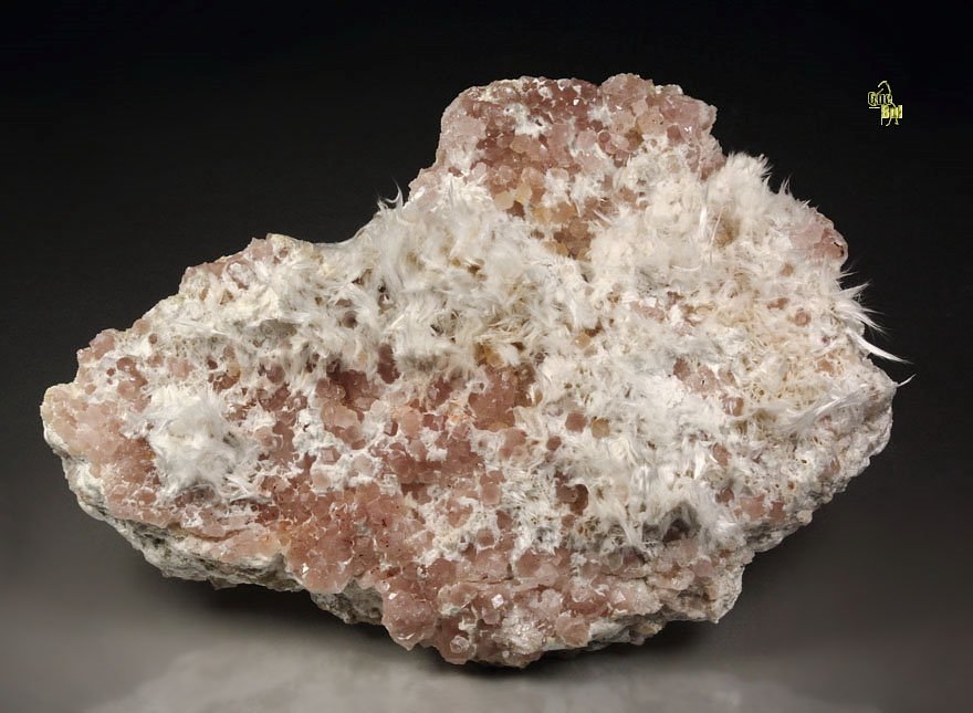 pink GARNET var. GROSSULAR, WOLLASTONITE