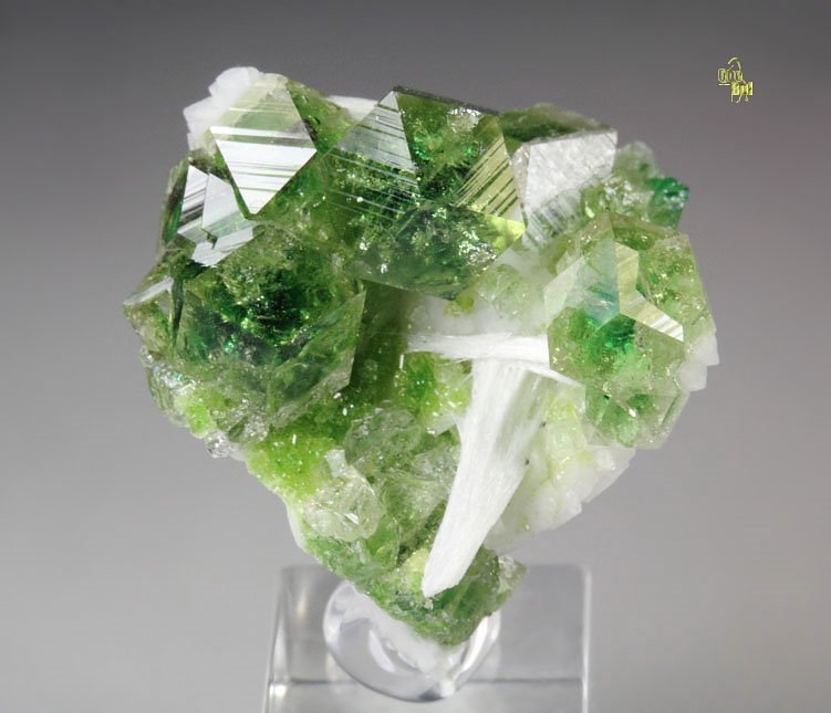 gem GARNET var. GROSSULAR with GREEN CHROMIAN PHANTOMS, ALBITE, PECTOLITE, DIOPSIDE