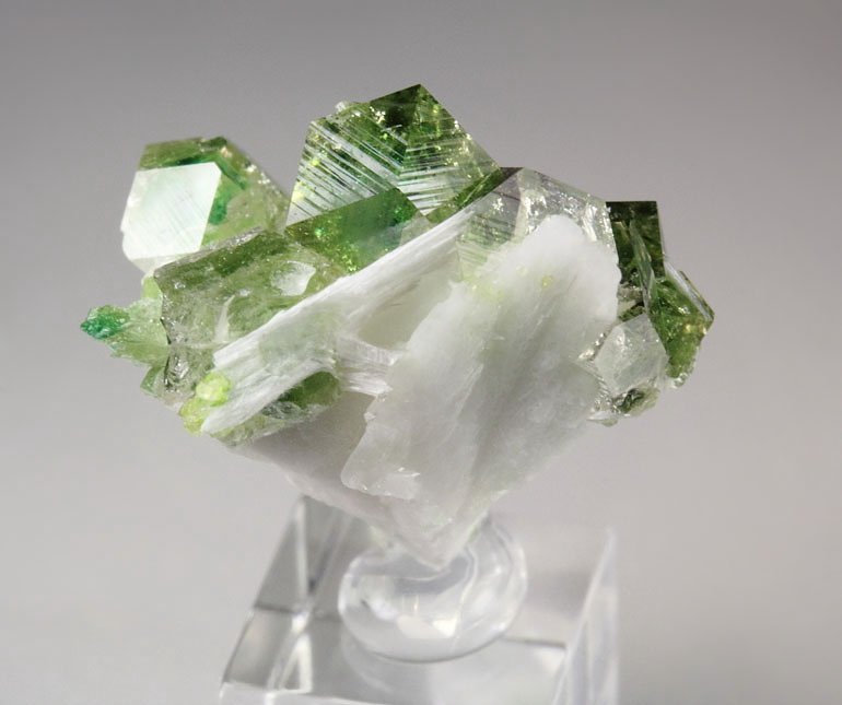 gem GARNET var. GROSSULAR with GREEN CHROMIAN PHANTOMS, ALBITE, PECTOLITE, DIOPSIDE