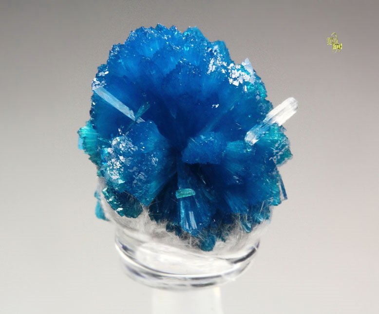 CAVANSITE, MORDENITE, STILBITE