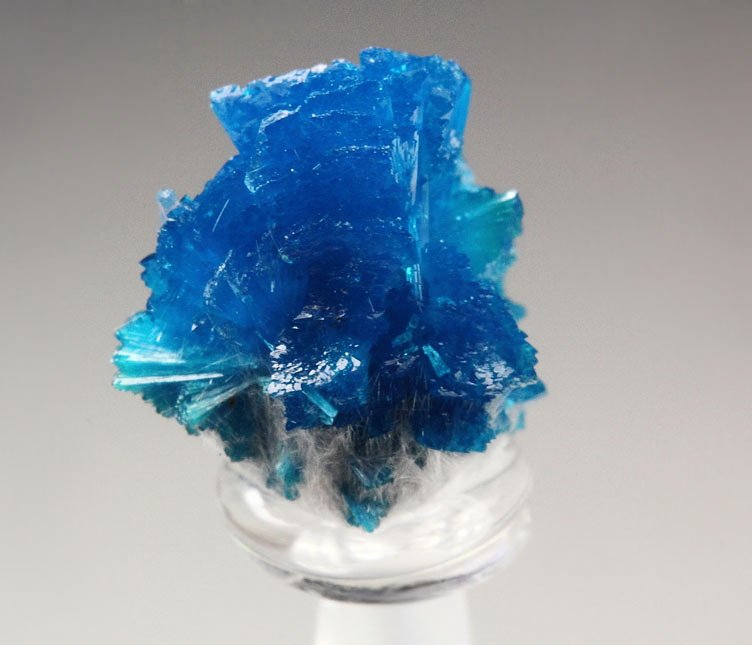 CAVANSITE, MORDENITE, STILBITE