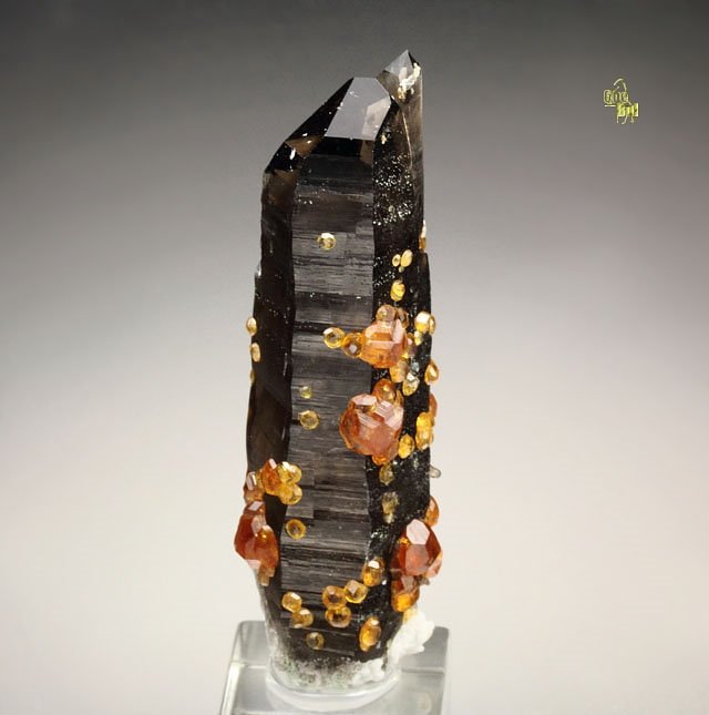 gem GARNET var. SPESSARTINE, QUARTZ var. SMOKY