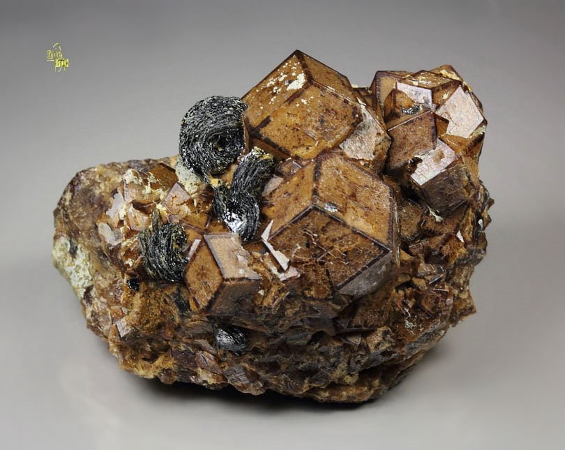 GARNET var. ANDRADITE, HEMATITE iron rose