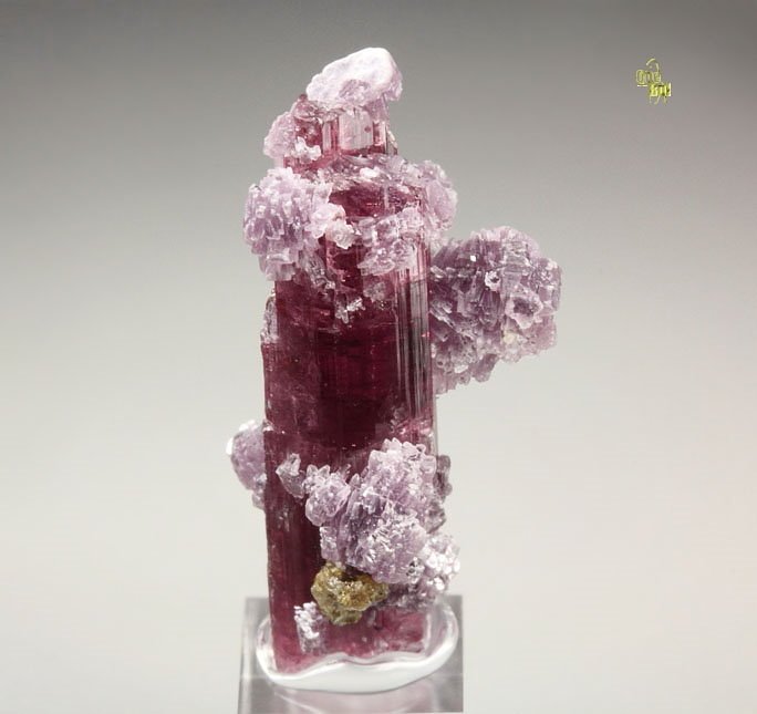 gem TOURMALINE var. ELBAITE, LEPIDOLITE