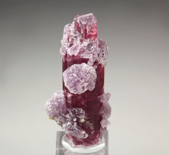 gem TOURMALINE var. ELBAITE, LEPIDOLITE