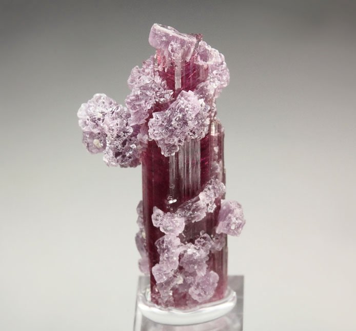 gem TOURMALINE var. ELBAITE, LEPIDOLITE