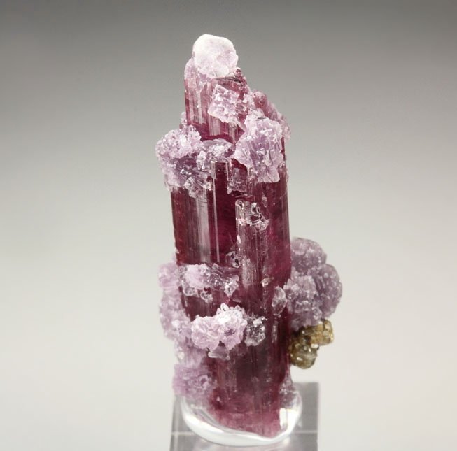 gem TOURMALINE var. ELBAITE, LEPIDOLITE