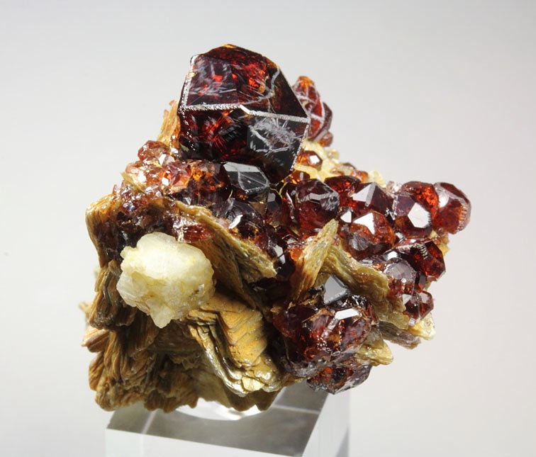 gem GARNET var. SPESSARTINE, MUSCOVITE