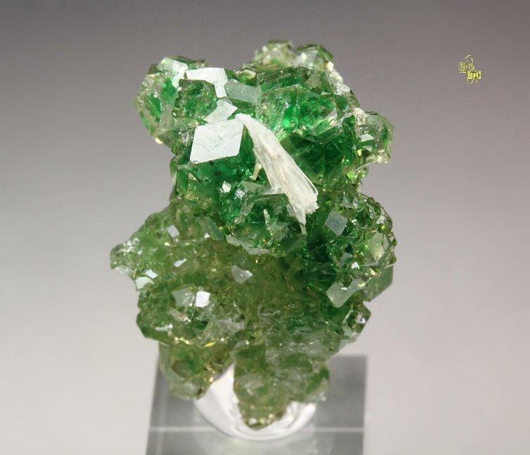 gem GARNET var. GROSSULAR with GREEN CHROMIAN PHANTOMS, PECTOLITE