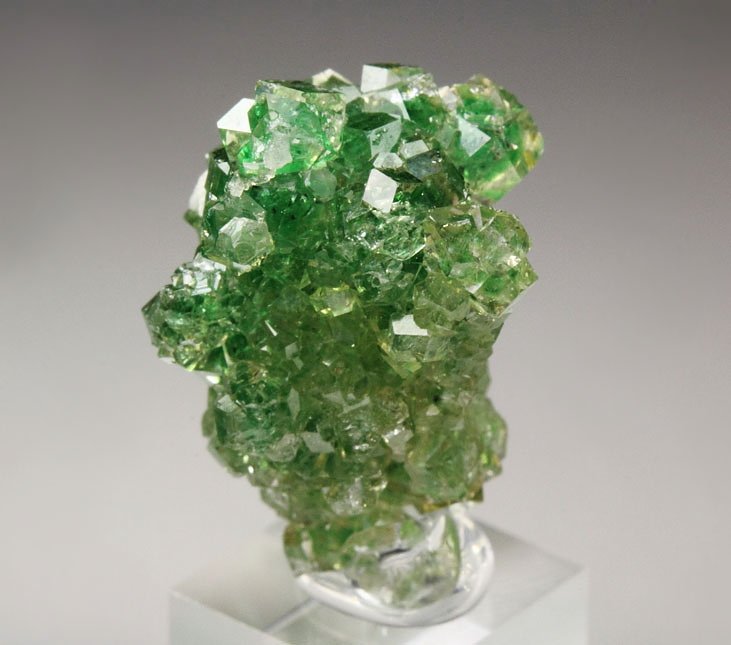 gem GARNET var. GROSSULAR with GREEN CHROMIAN PHANTOMS, PECTOLITE