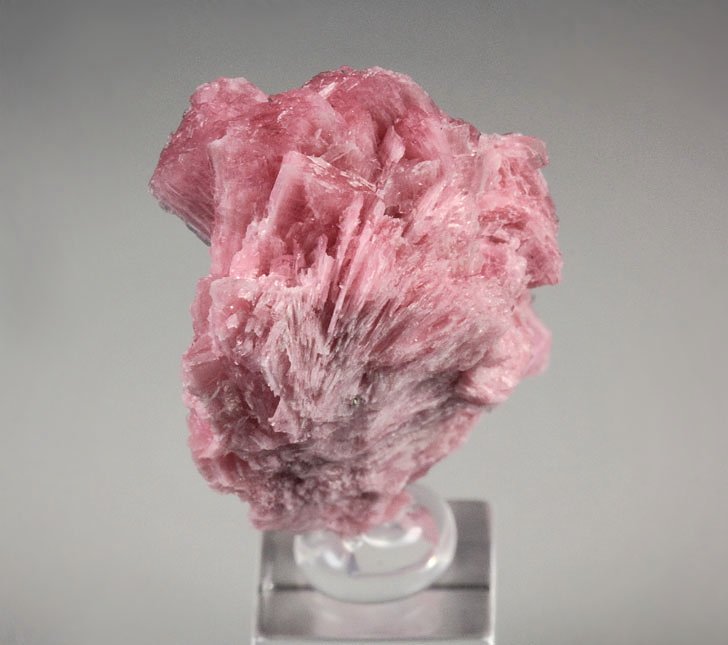 RHODONITE