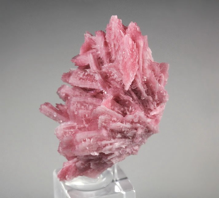 RHODONITE