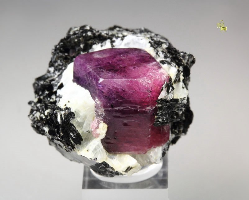 CORUNDUM var. RUBY, MUSCOVITE