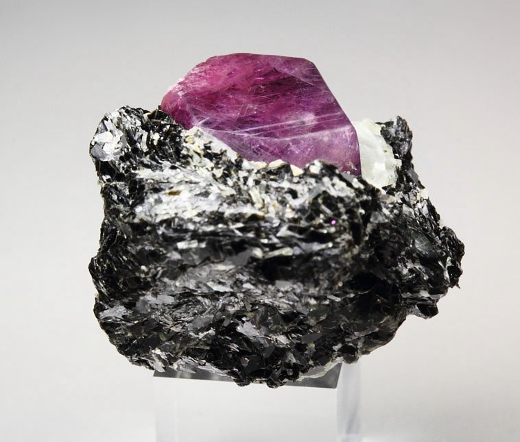 CORUNDUM var. RUBY, MUSCOVITE