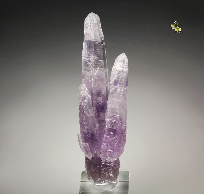 QUARTZ var. AMETHYST scepter 