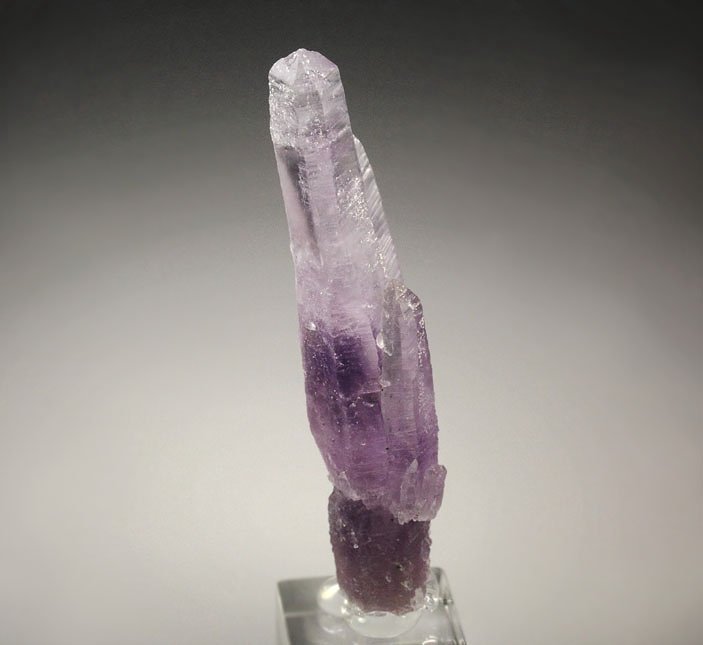 QUARTZ var. AMETHYST scepter 