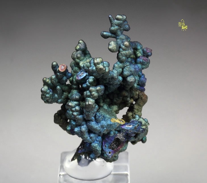 CHALCOCITE, DJURLEITE, iridescent CHALCOPYRITE