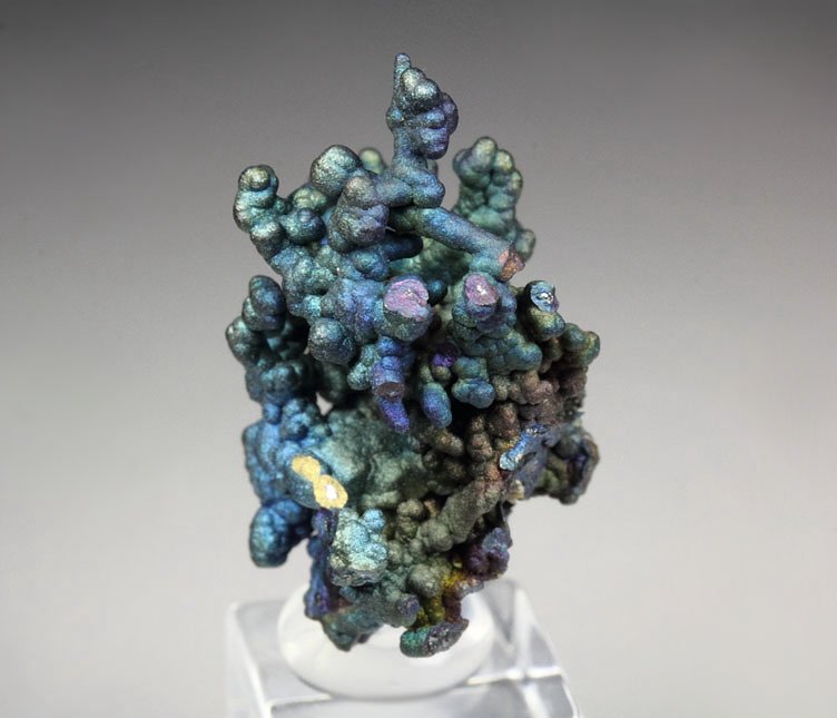 CHALCOCITE, DJURLEITE, iridescent CHALCOPYRITE