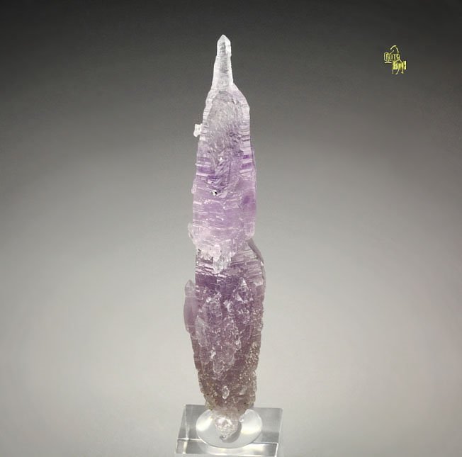 QUARTZ var. AMETHYST scepter