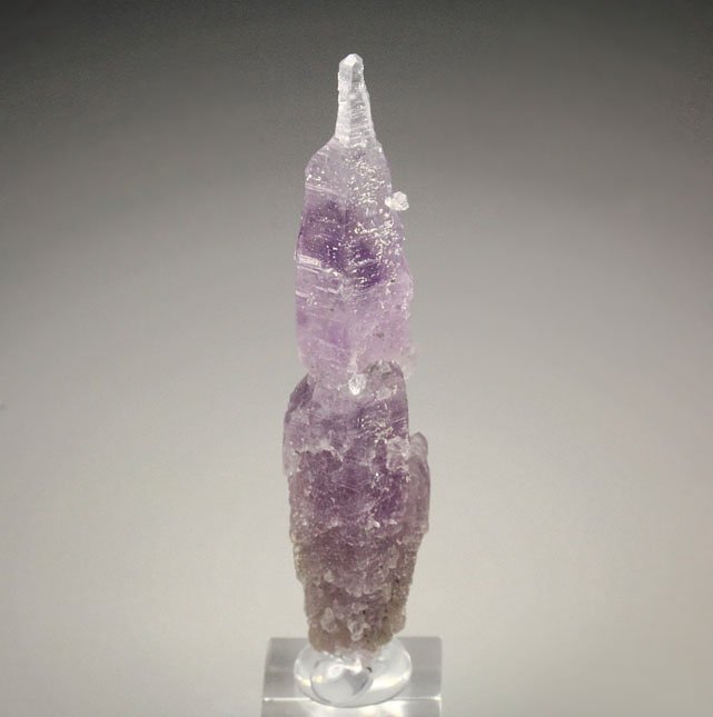 QUARTZ var. AMETHYST scepter