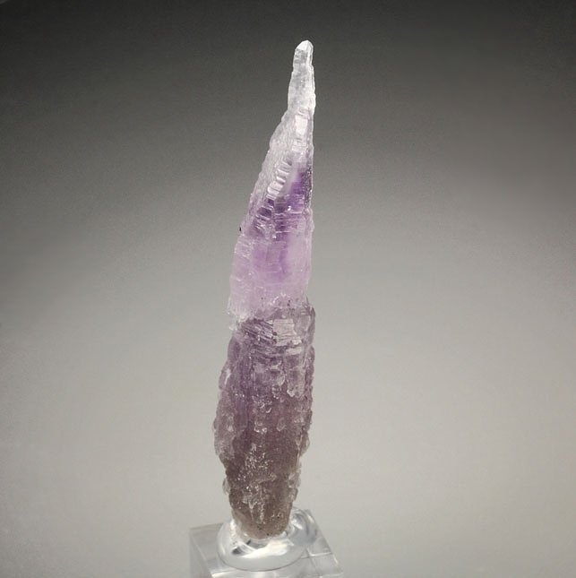 QUARTZ var. AMETHYST scepter