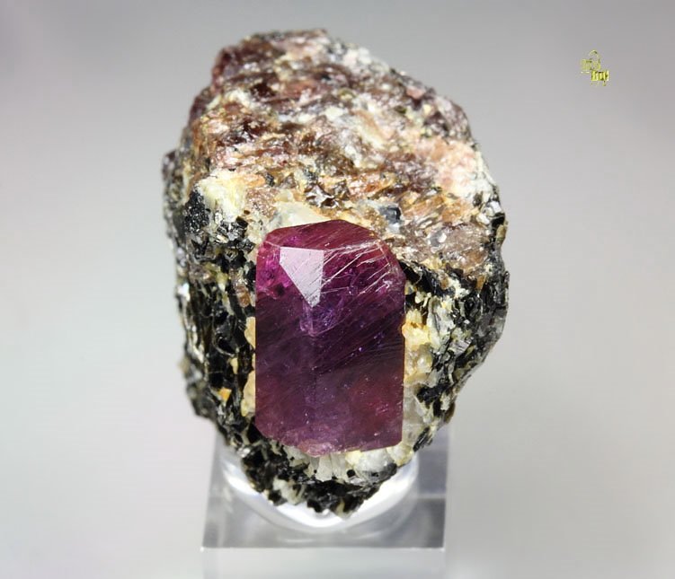 CORUNDUM var. RUBY, MUSCOVITE