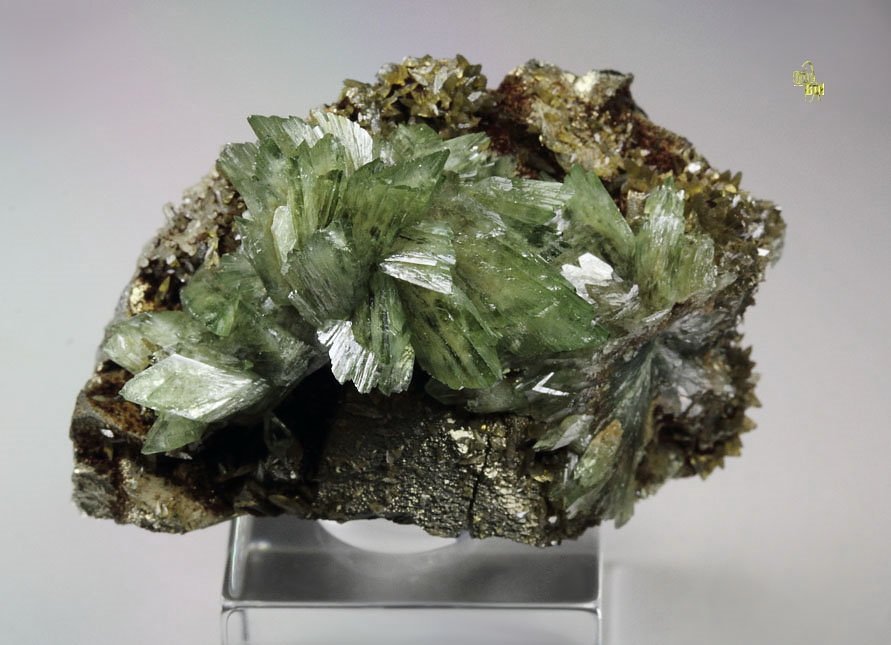 LUDLAMITE