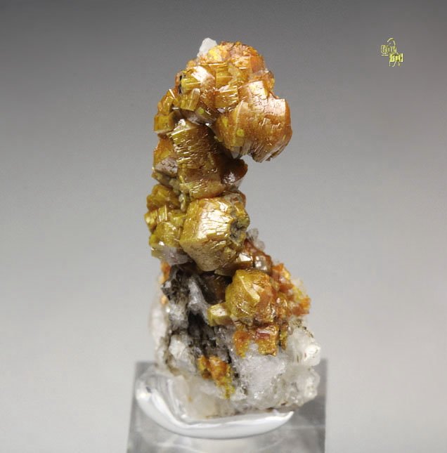 MIMETITE var. CAMPYLITE