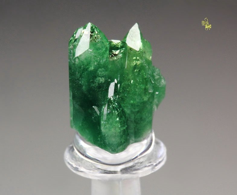 gem VESUVIANITE var. CHROMIAN