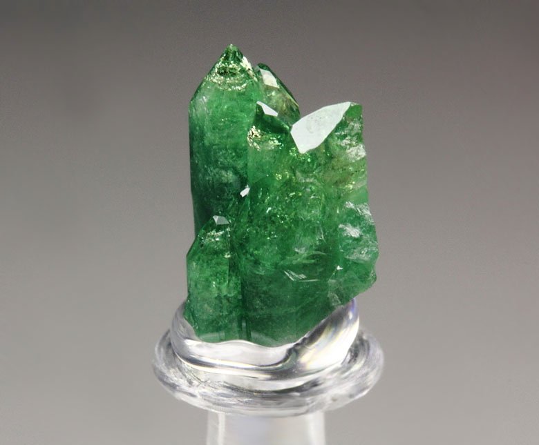 gem VESUVIANITE var. CHROMIAN