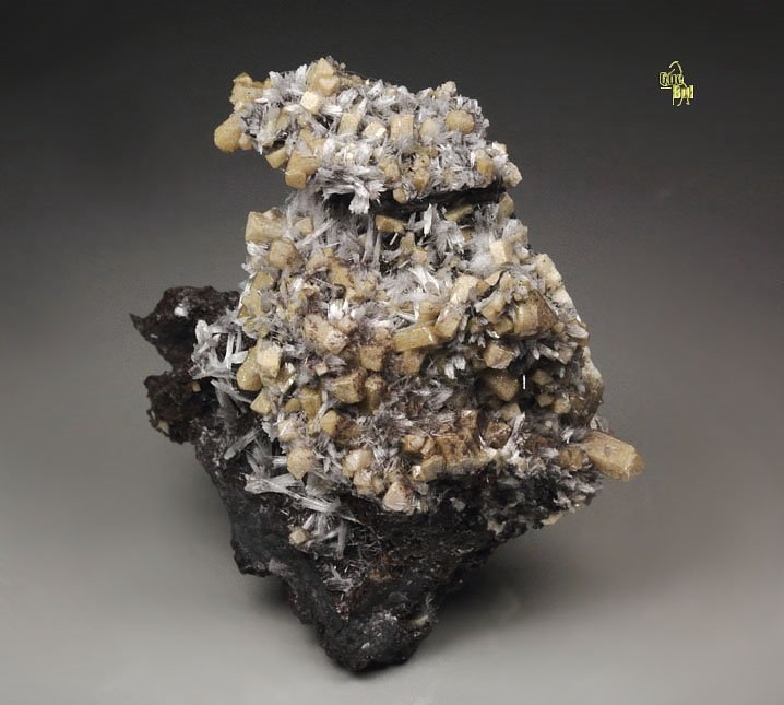 BULTFONTEINITE, OLMIITE