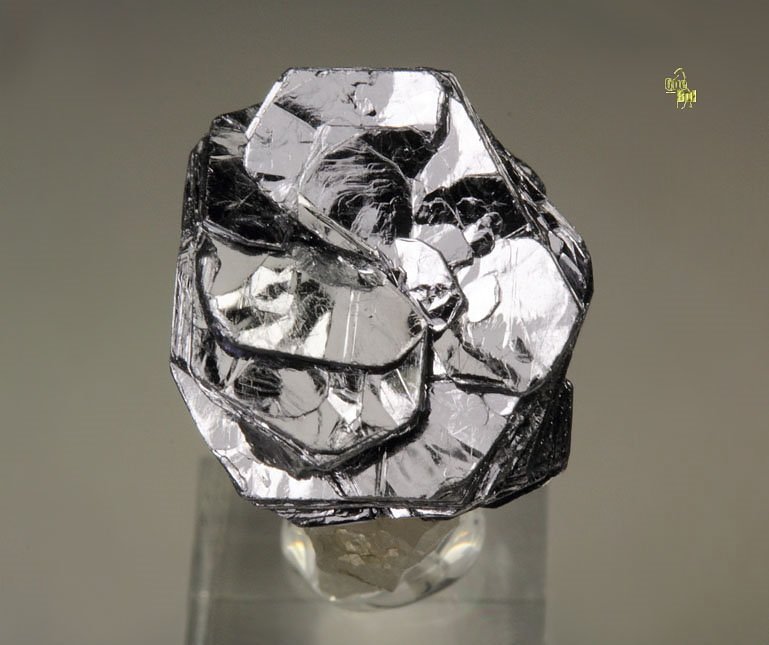 MOLYBDENITE rose