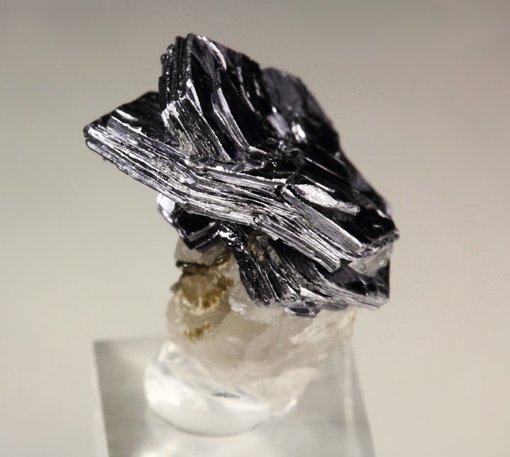 MOLYBDENITE rose