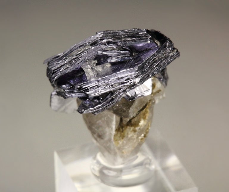 MOLYBDENITE rose