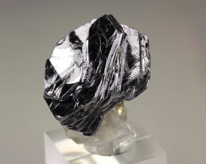 MOLYBDENITE rose