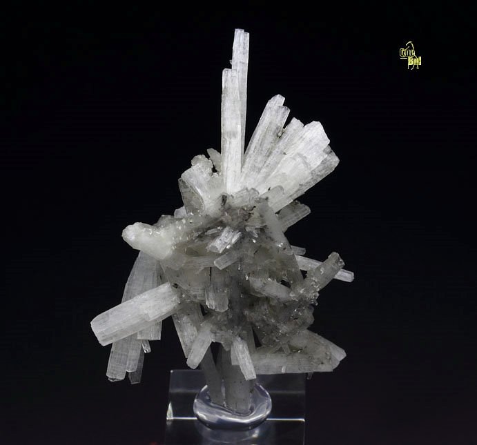 PECTOLITE