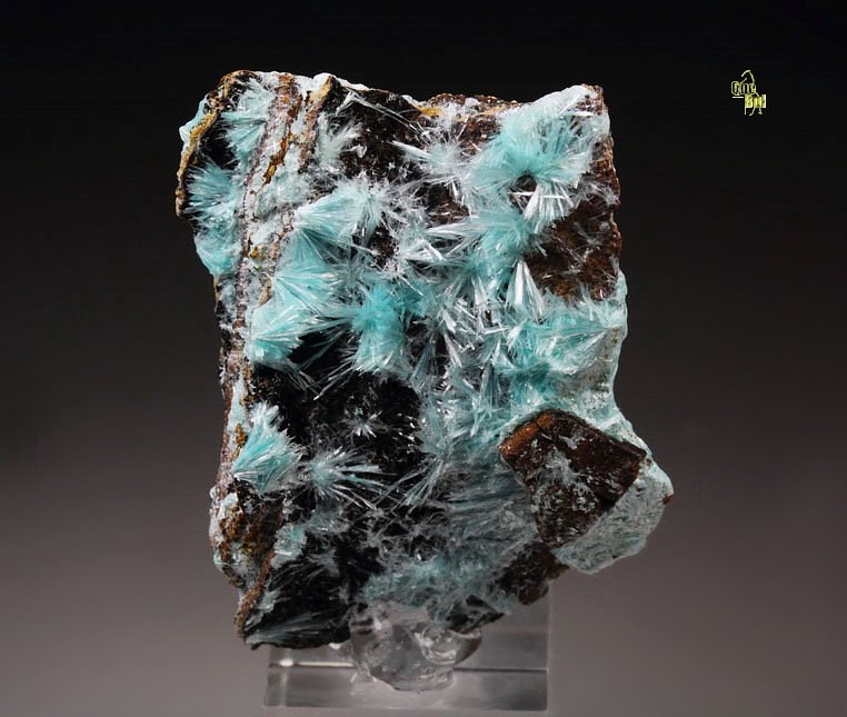 AURICHALCITE